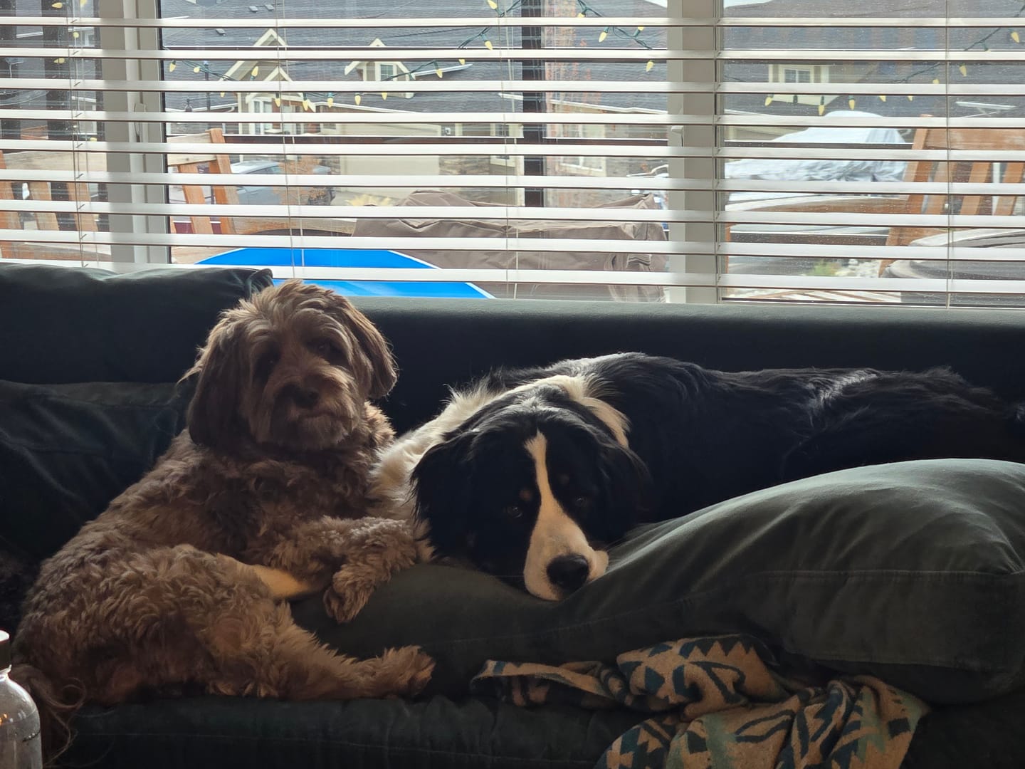 Customer photo review of Himalayan Yak Chew (LARGE)