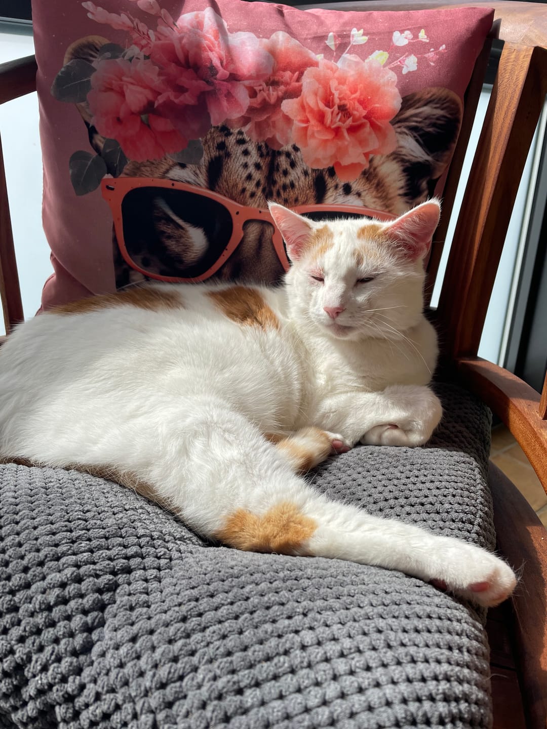 Customer photo review of Katzenklo Schaufel