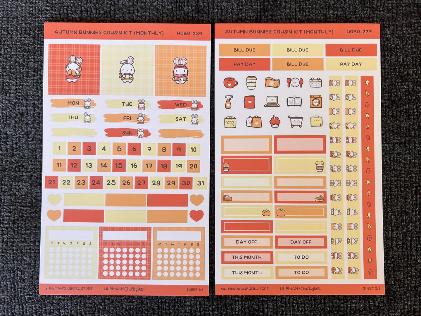 Customer photo review of Autumn Bunnies Hobonichi Cousin Monthly Kit (Set of 2)