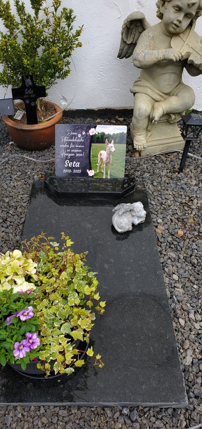 Customer photo review of Katzen Gedenktafel mit Foto & Spruch (UV- & Wetterfest)