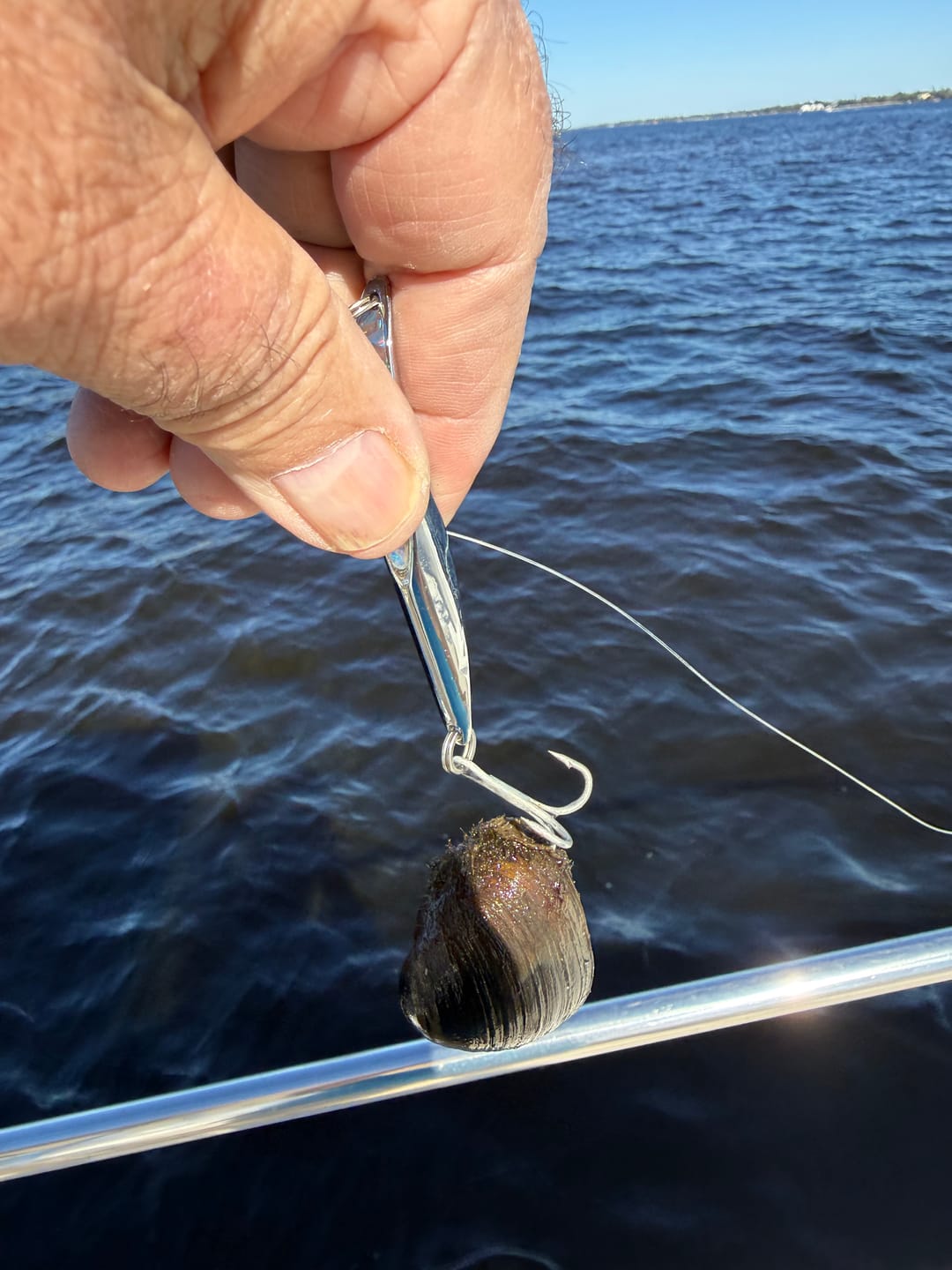 Customer photo review of Blue Wave 300-2000 Yard Spools