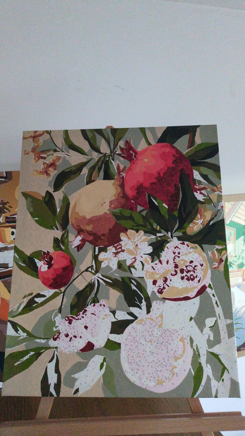 Customer photo review of Blooming pomegranates | Paint by Number