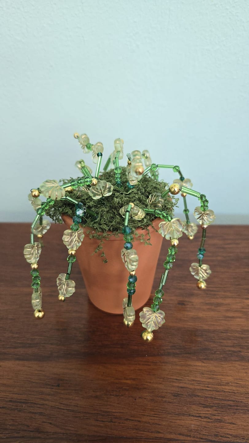 Customer photo review of Maak je eigen kralenplant - Gouden Bloei