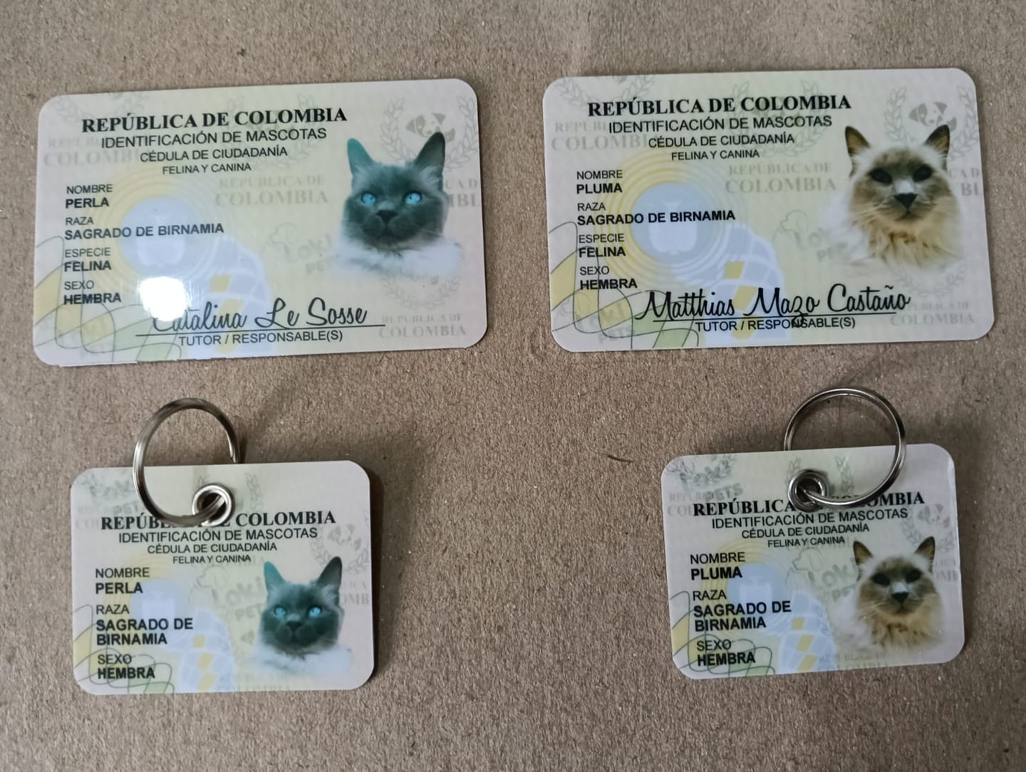 Customer photo review of KIT Cédula Pareja