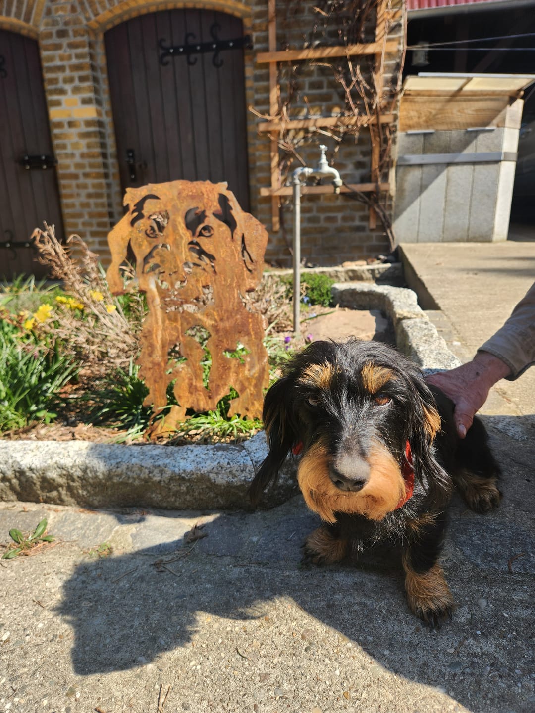 Customer photo review of Gartenstecker Rauhaardackel