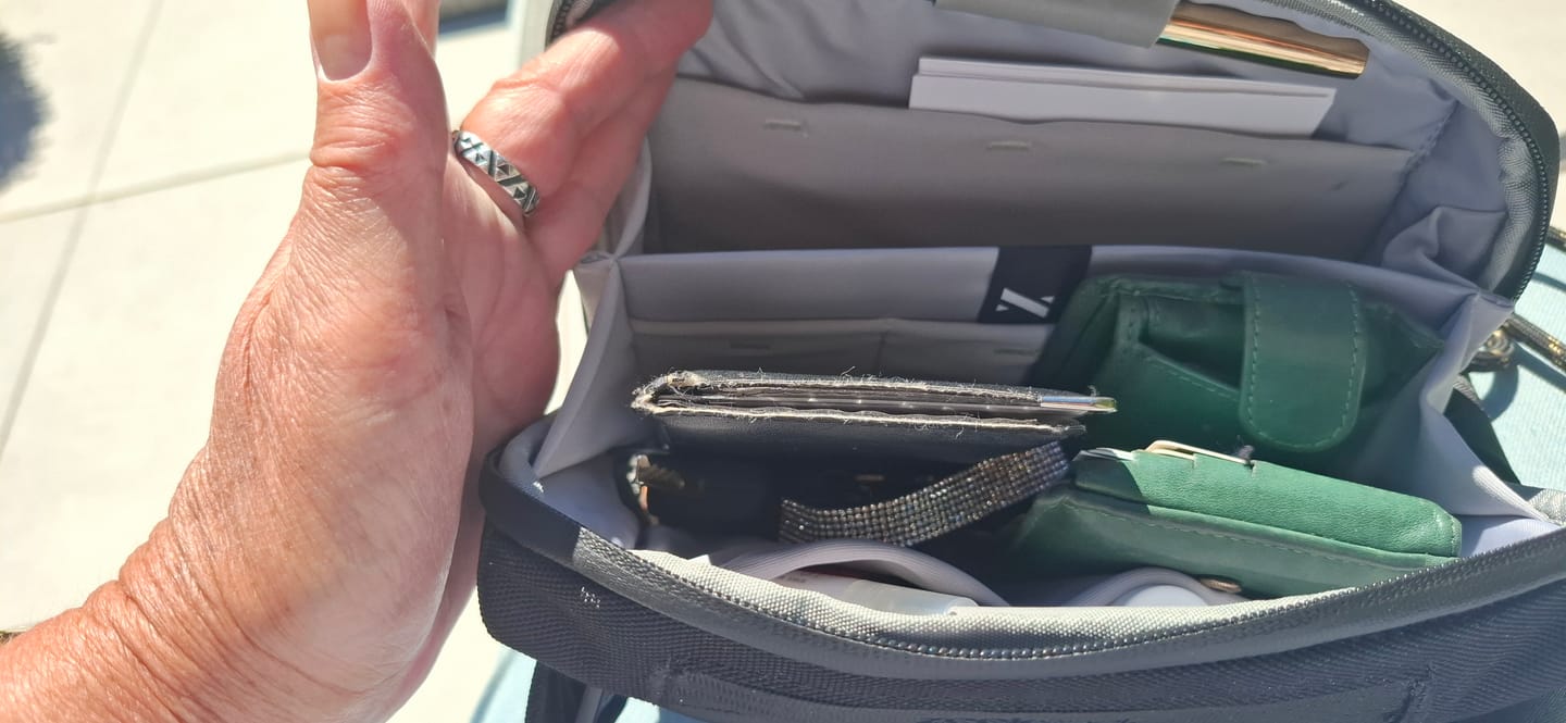 Customer photo review of Crossbody Organizer
