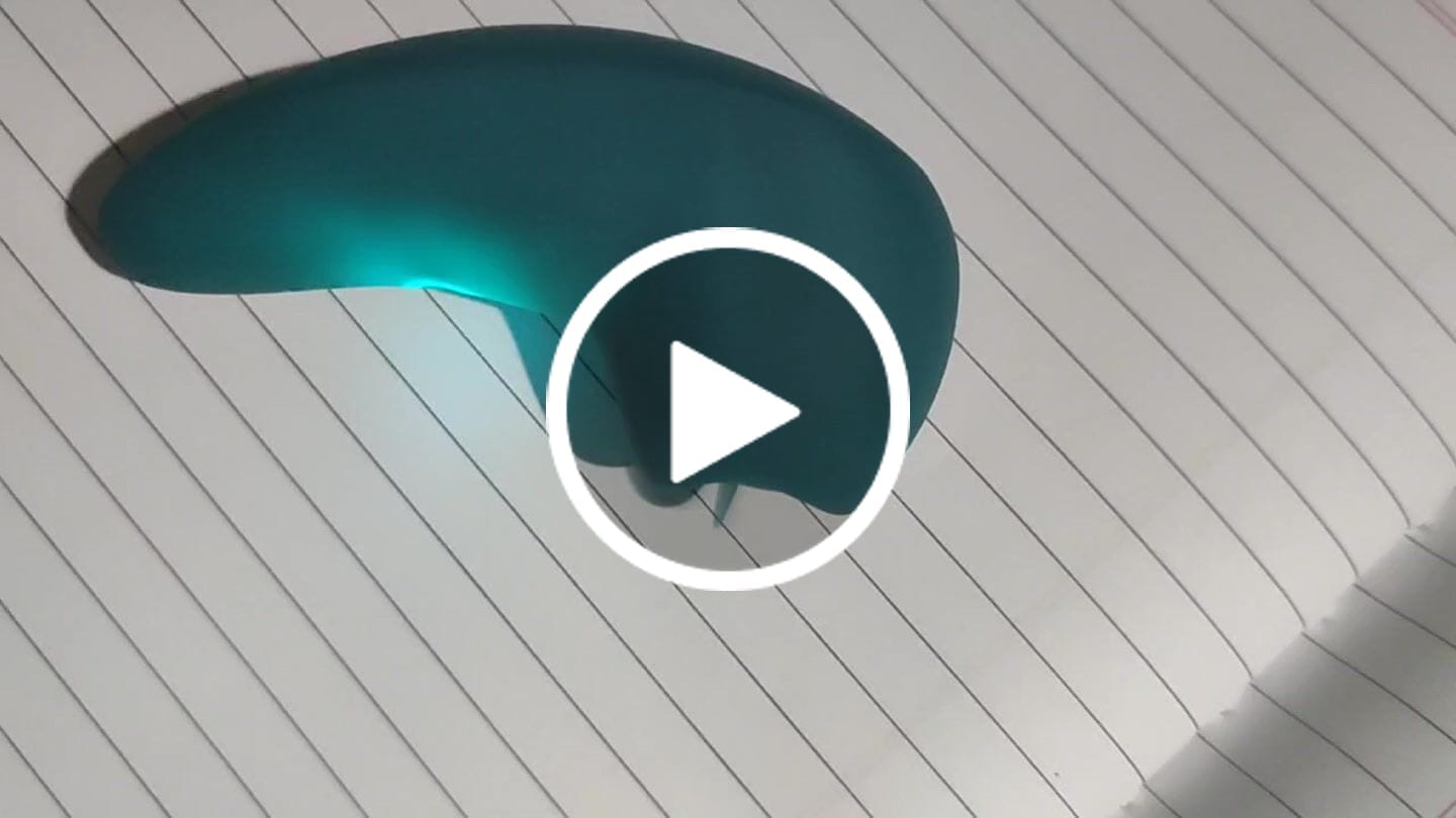 Customer video review of Flick