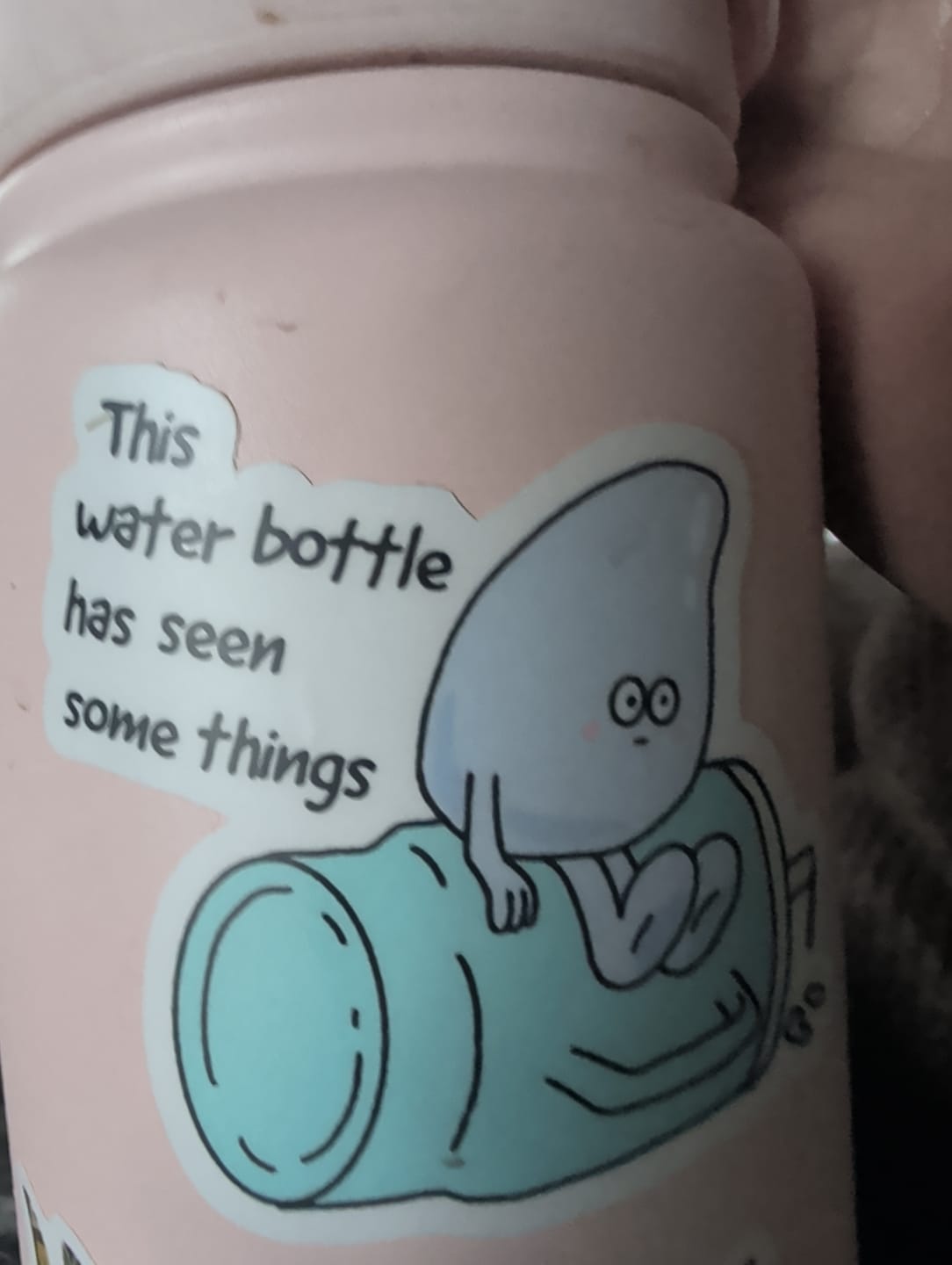 Customer photo review of "This water bottle has seen some things" Hydration Sticker