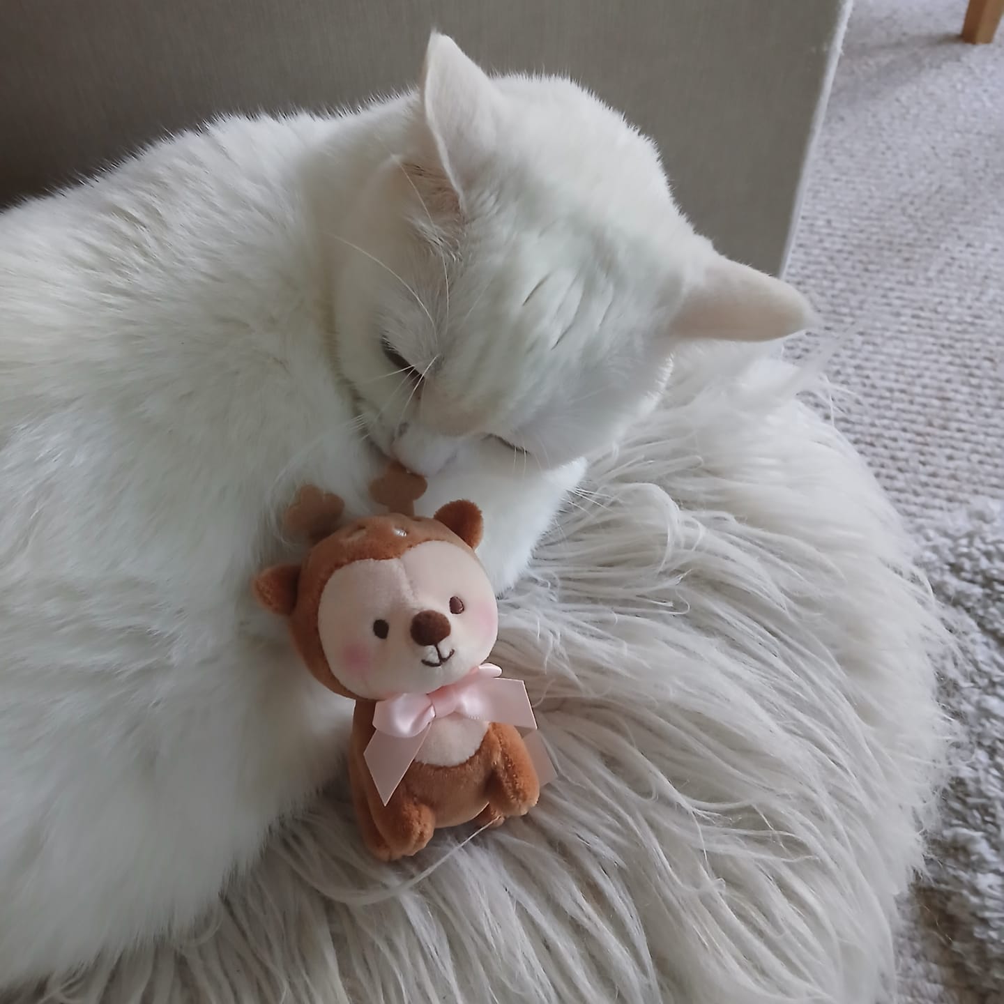 Customer photo review of Cinnamon the Deer Plush Keychain | Pink Coquette Kawaii Cottagecore Bag Charm