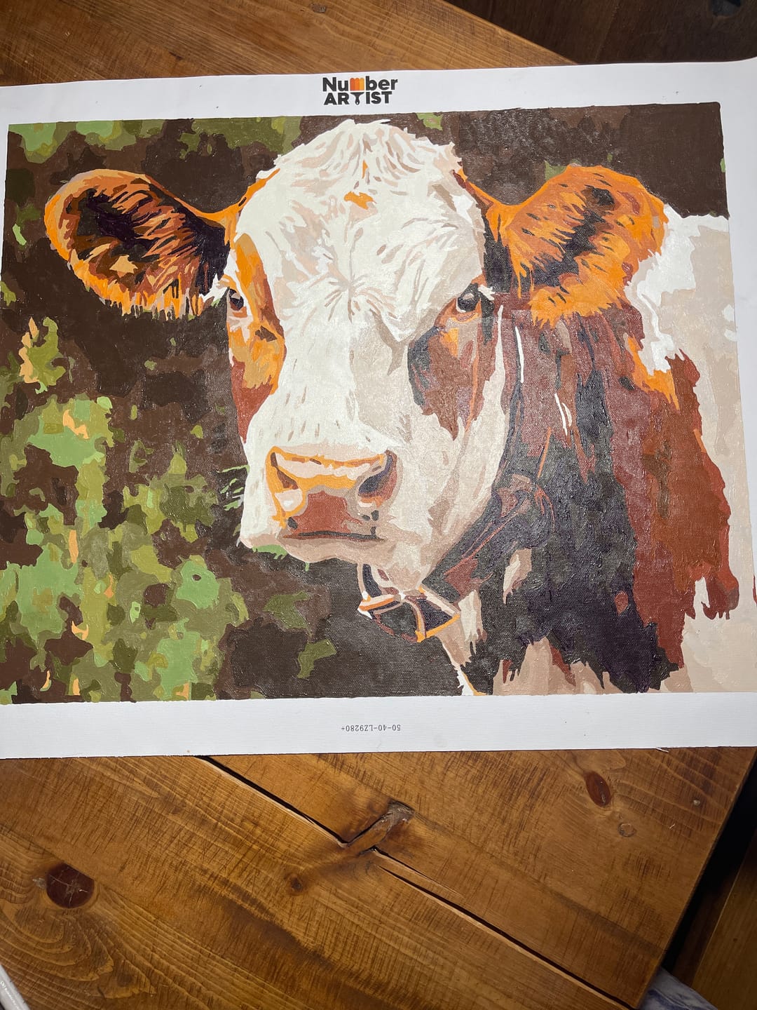 Customer photo review of Cattle Portrait