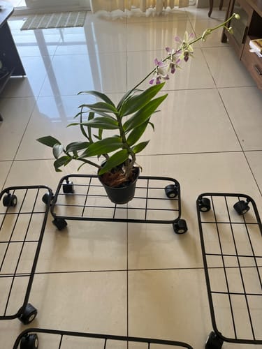 Customer photo review of United Crafts Aory High-Quality Wheel Metal Stands