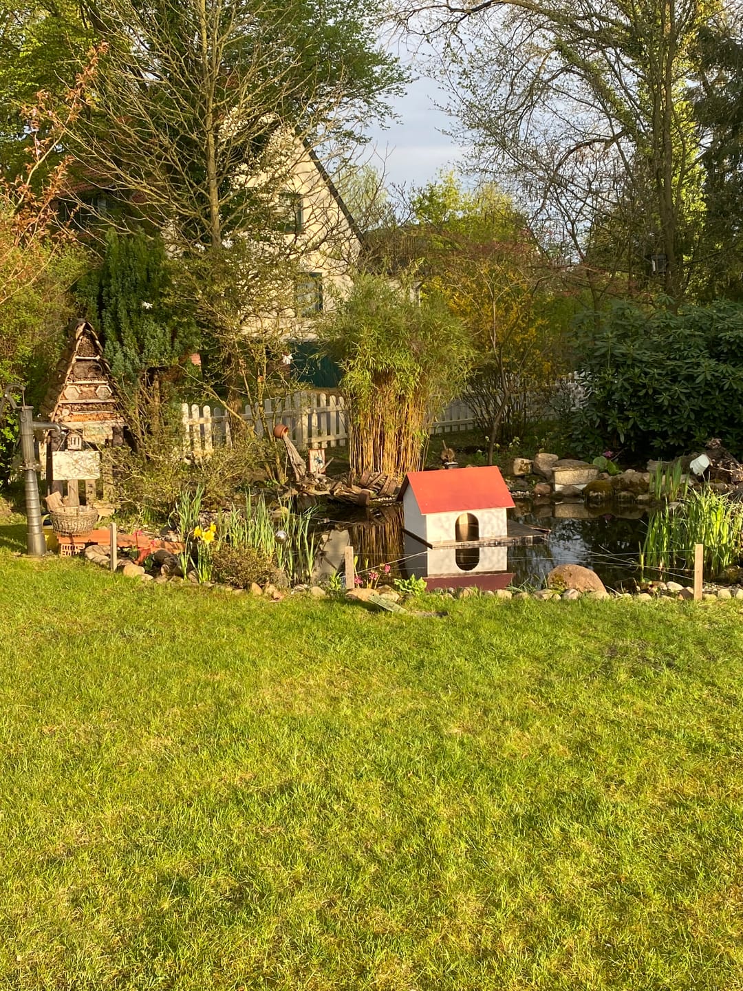 Customer photo review of Elmato Entenhaus mit Schwimmplattform und Treppe für den Teich, Set & Einzeln