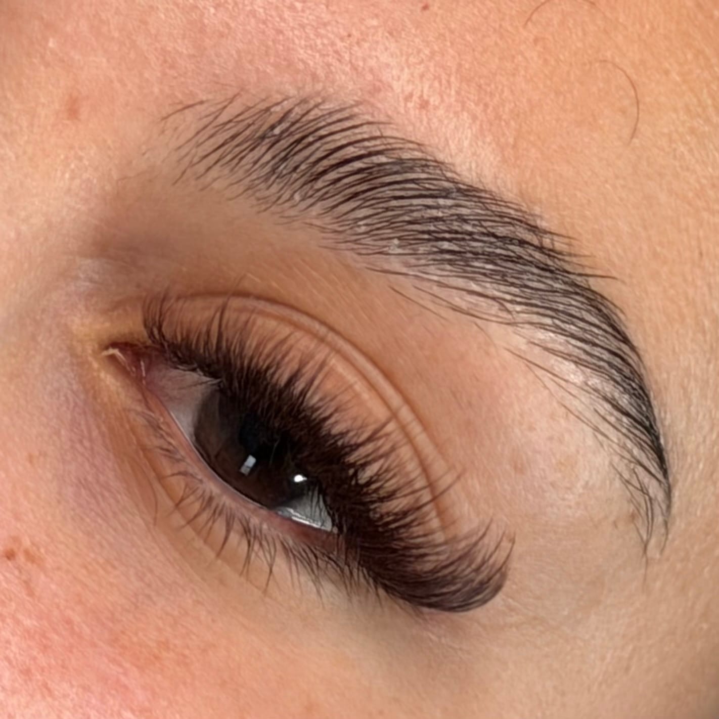 Customer photo review of Brown Color Lash 0.03/0.05mm