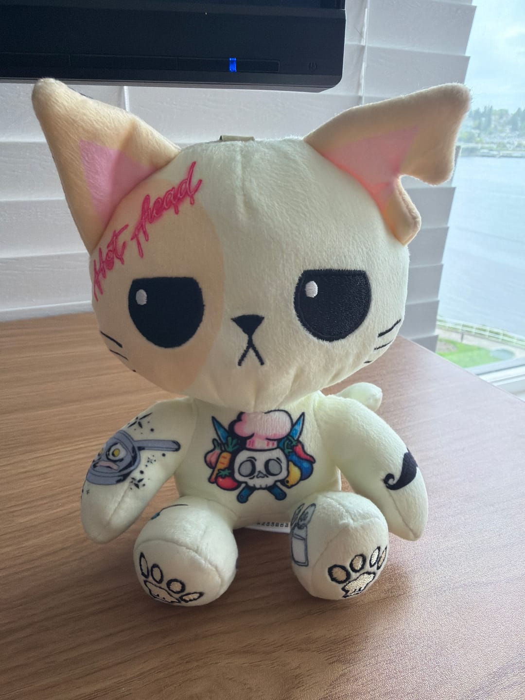 Customer photo review of Cattoos Plush Pendant Blind Box