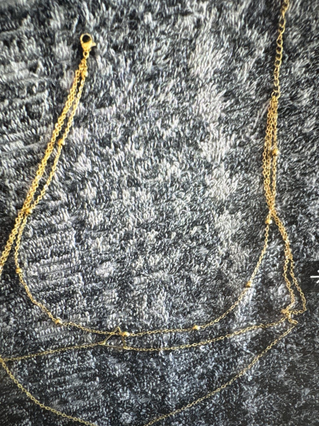 Customer photo review of Layered Luxe Necklace
