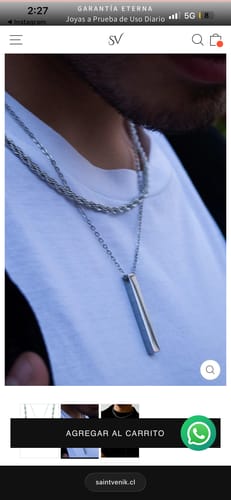 Captura de pantalla del cliente que muestra a una persona con dos collares plateados.
