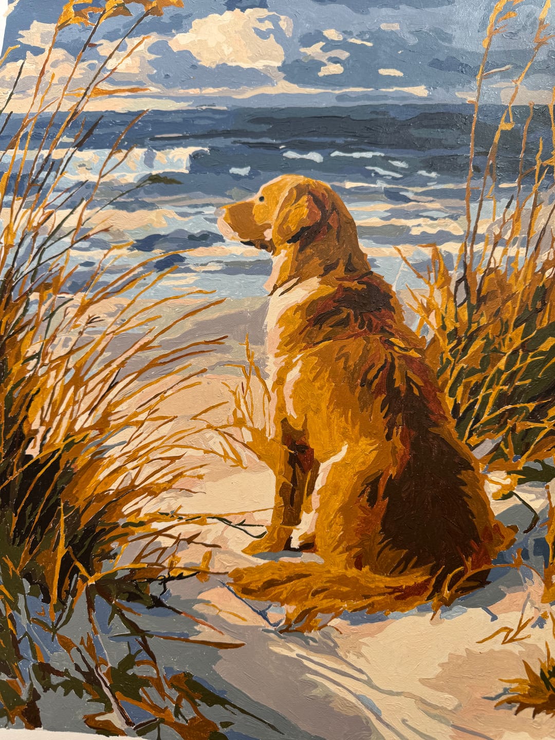 Customer photo review of Waiting Labrador | Paint by Number