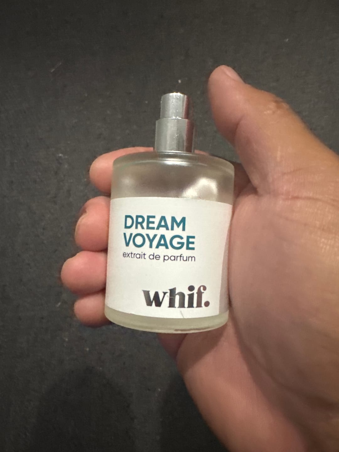 Customer photo review of Dream Voyage