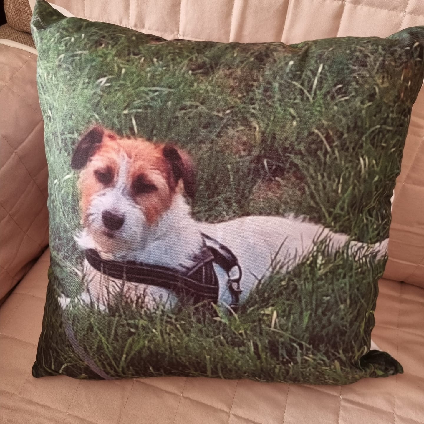 Customer photo review of Ritratto animale domestico - Portachiavi personalizzato