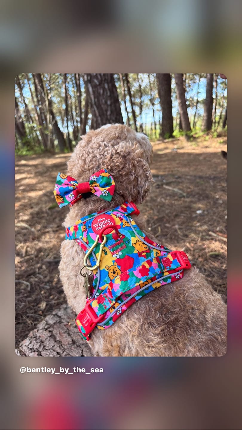 Customer photo review of Disney© Tough Trails™ Harness - Winnie Goes Retro