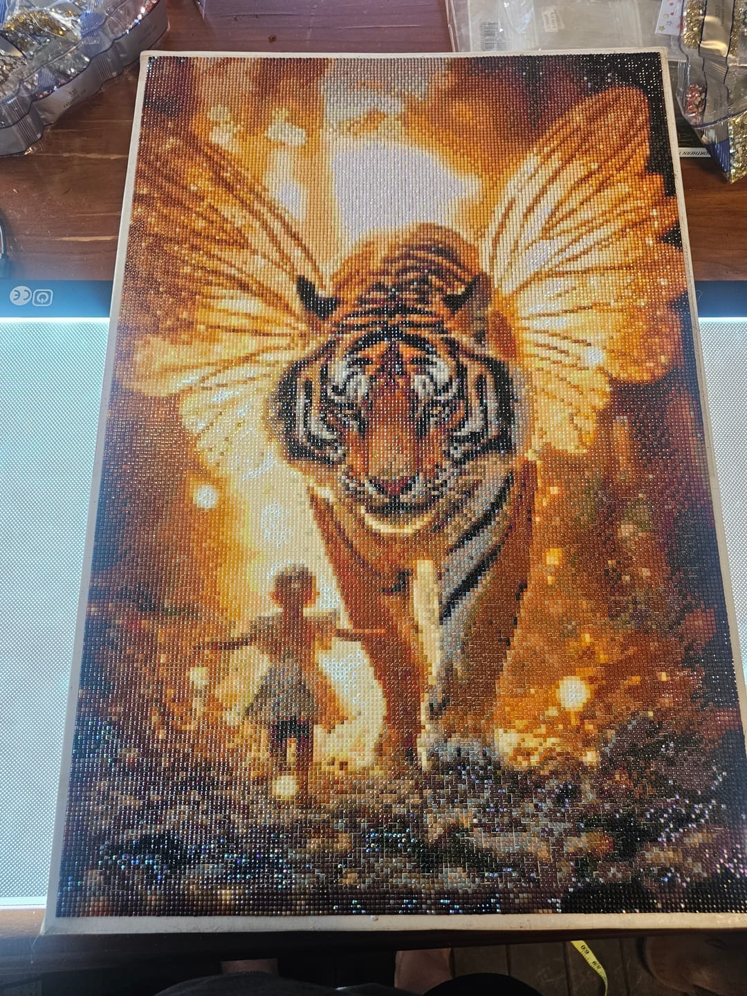 Customer photo review of Worlds Best Customized Diamond Painting Kit