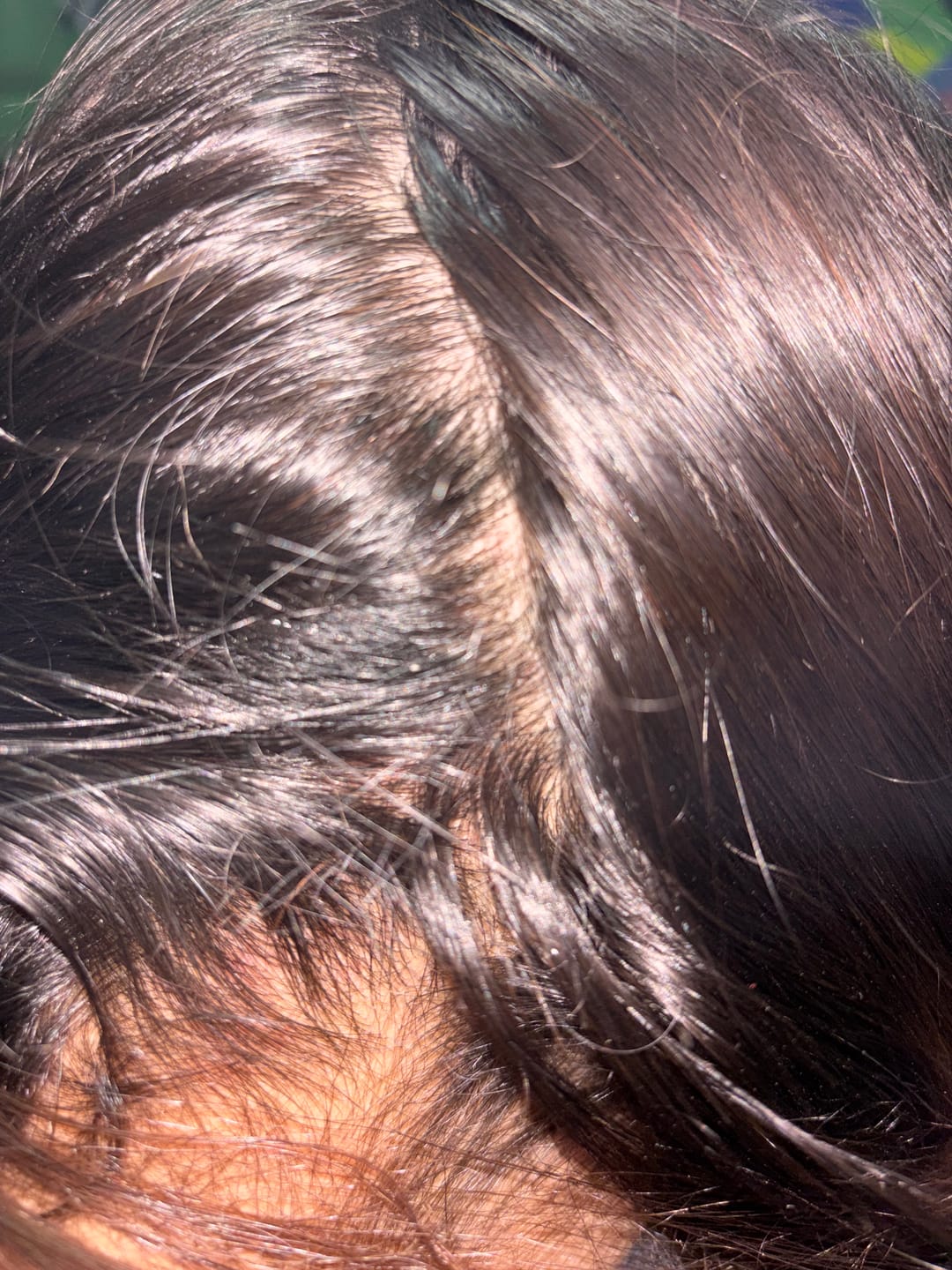Customer photo review of Shampoo y Acondicionador