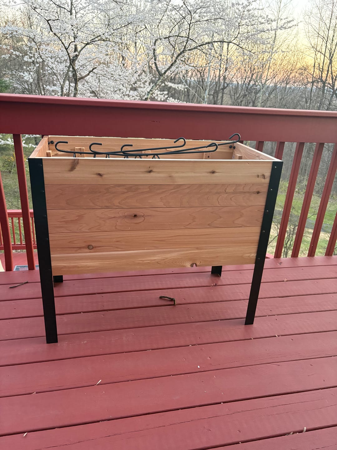 Customer photo review of 18" x 36" Raised Garden Bed - 30" TALL / Garden Grade