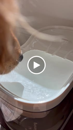 Customer video review of Wireless Weight-Sensing Pet Fountain