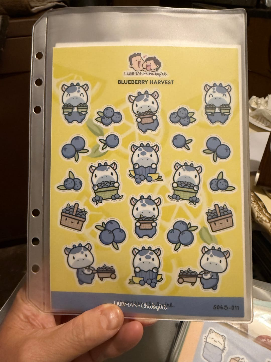 Customer photo review of Sticker Subscription