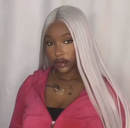 Customer photo review of Luvwin 13x4 Lace 95% White Salt and pepper Straight Platinum Blonde 100% Glueless Human Hair Wig