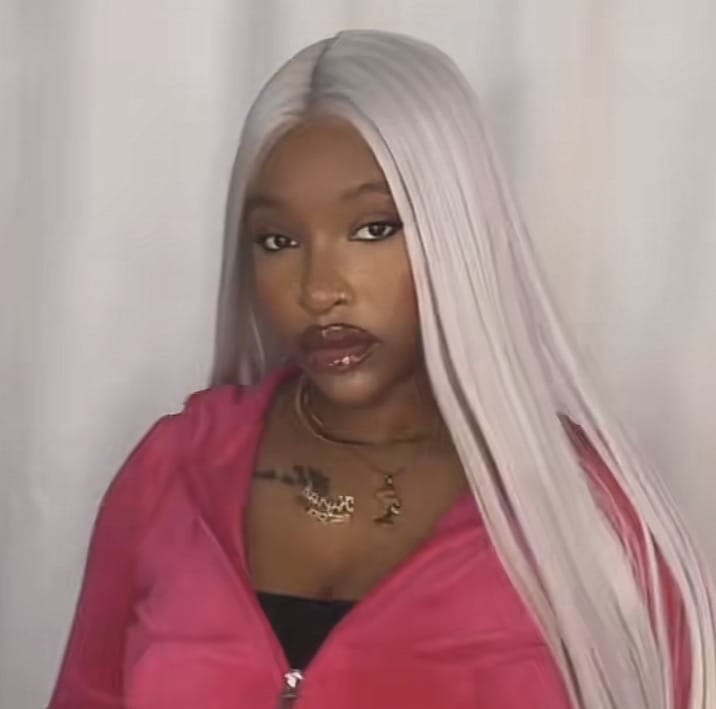 Customer photo review of Luvwin 13x4 Lace 95% White Salt and pepper Straight Platinum Blonde 100% Glueless Human Hair Wig
