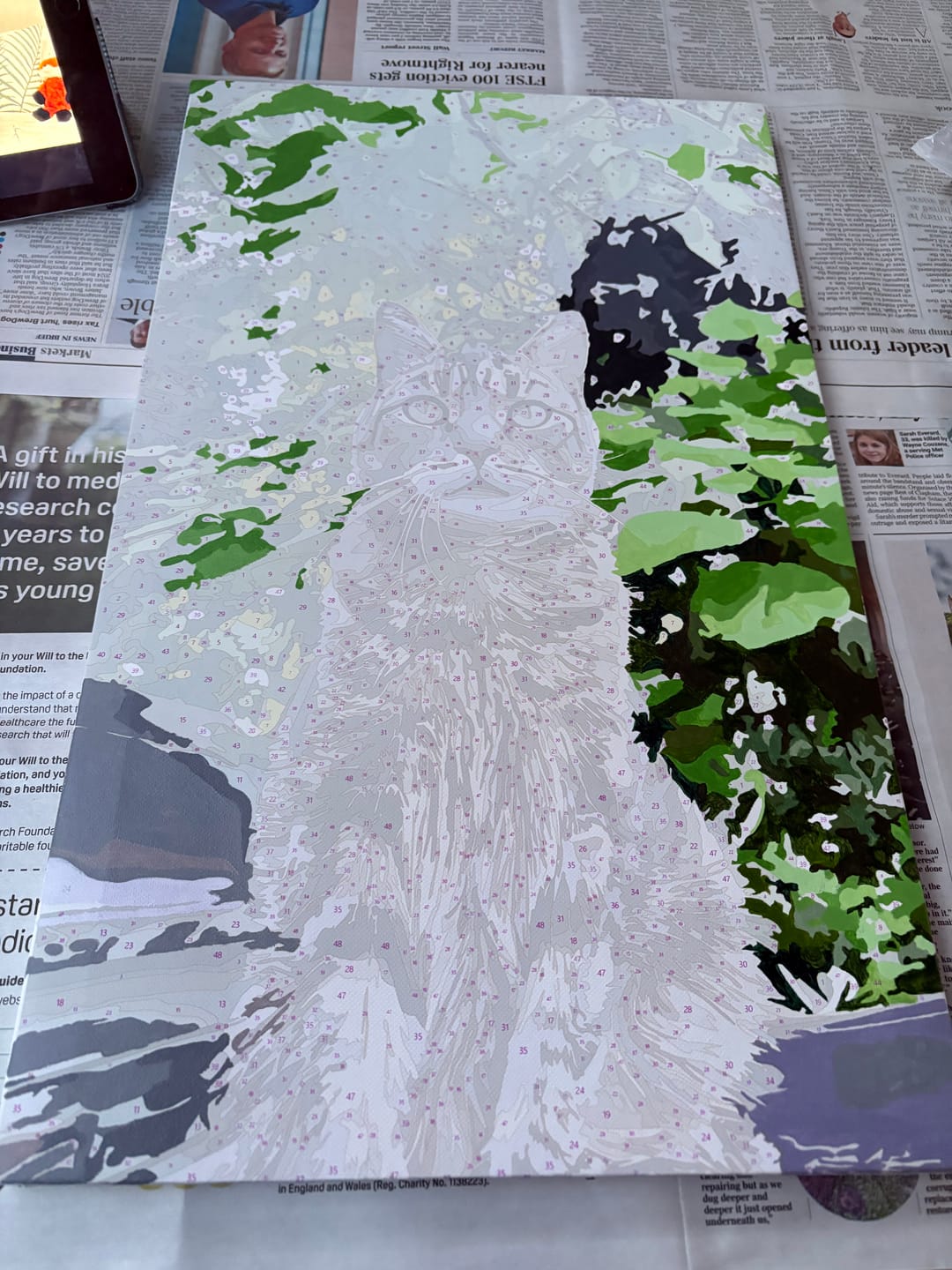 Customer photo review of Custom Paint By Numbers Kit