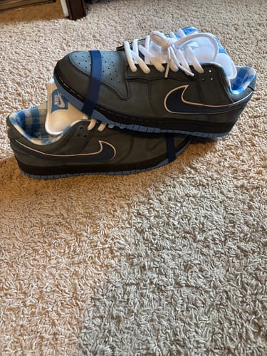 Customer photo review of Nike SB Dunk Low 'Blue Lobster'