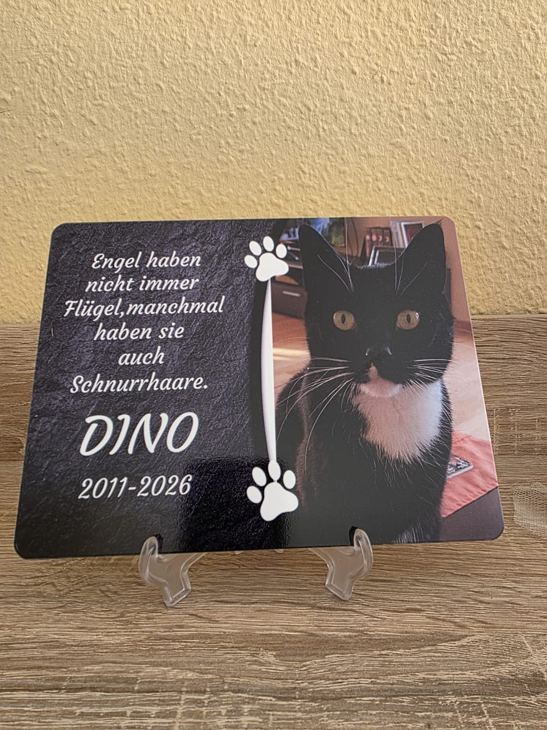 Customer photo review of Katzen Gedenktafel mit Foto & Spruch (UV- & Wetterfest)