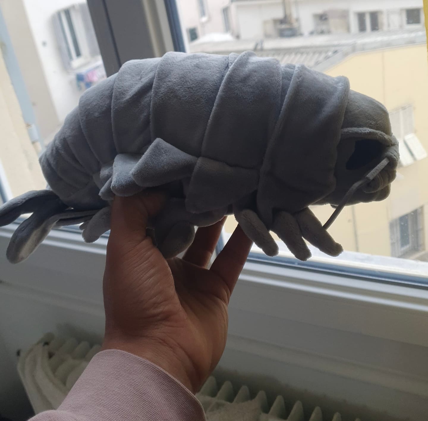 Customer photo review of Giant Isopod Soft Stuffed Plush Toy