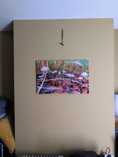 Customer photo review of Custom Glass Print Wall Art