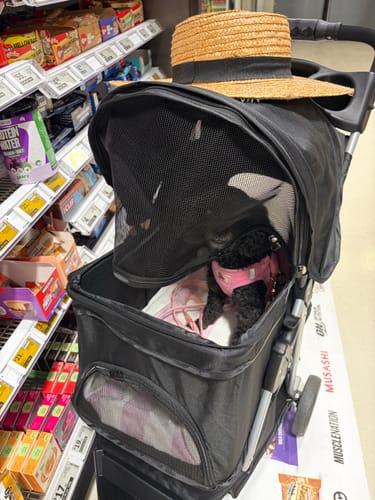 Customer's black dog stroller with a small dog inside under the mesh hood, pictured in a grocery store aisle.