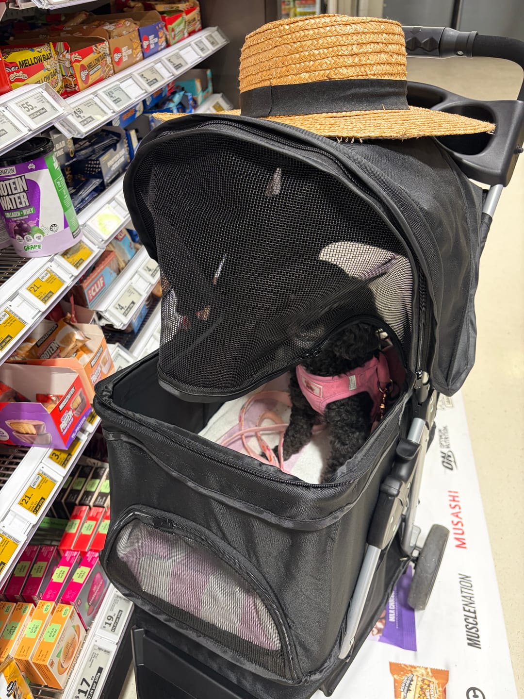 Customer photo review of Large Dog Stroller - 3 Wheels