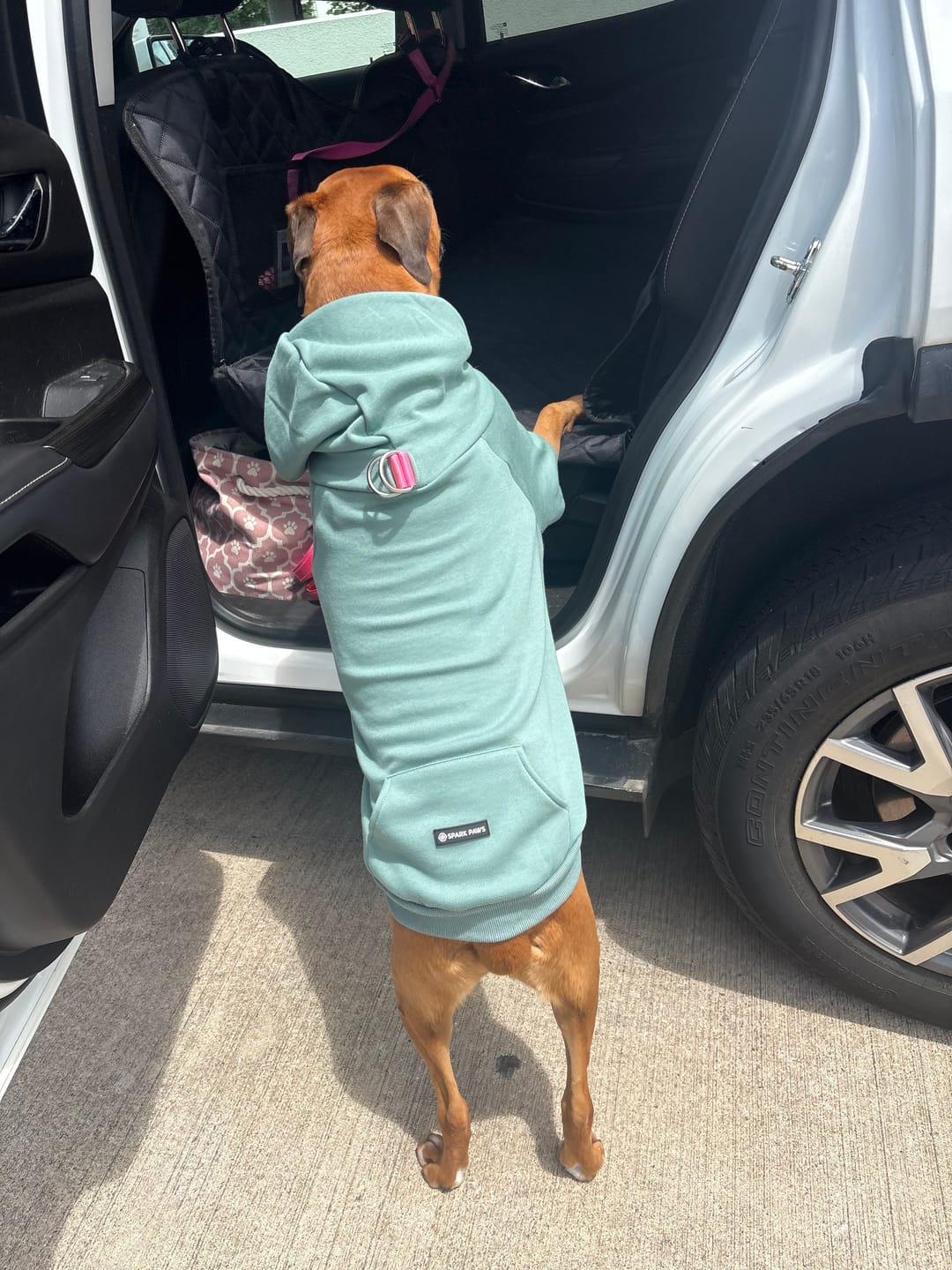 Customer photo review of Essential Dog Hoodie - Teal