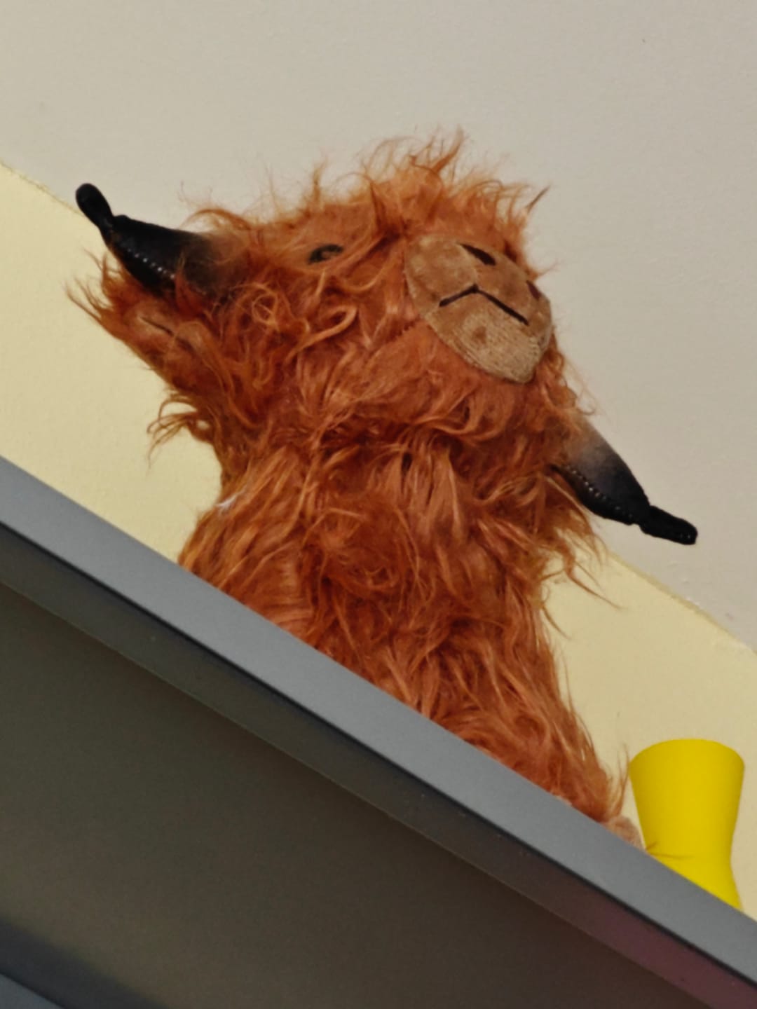 Customer photo review of Scottish Highland Cow Soft Stuffed Plush Toy