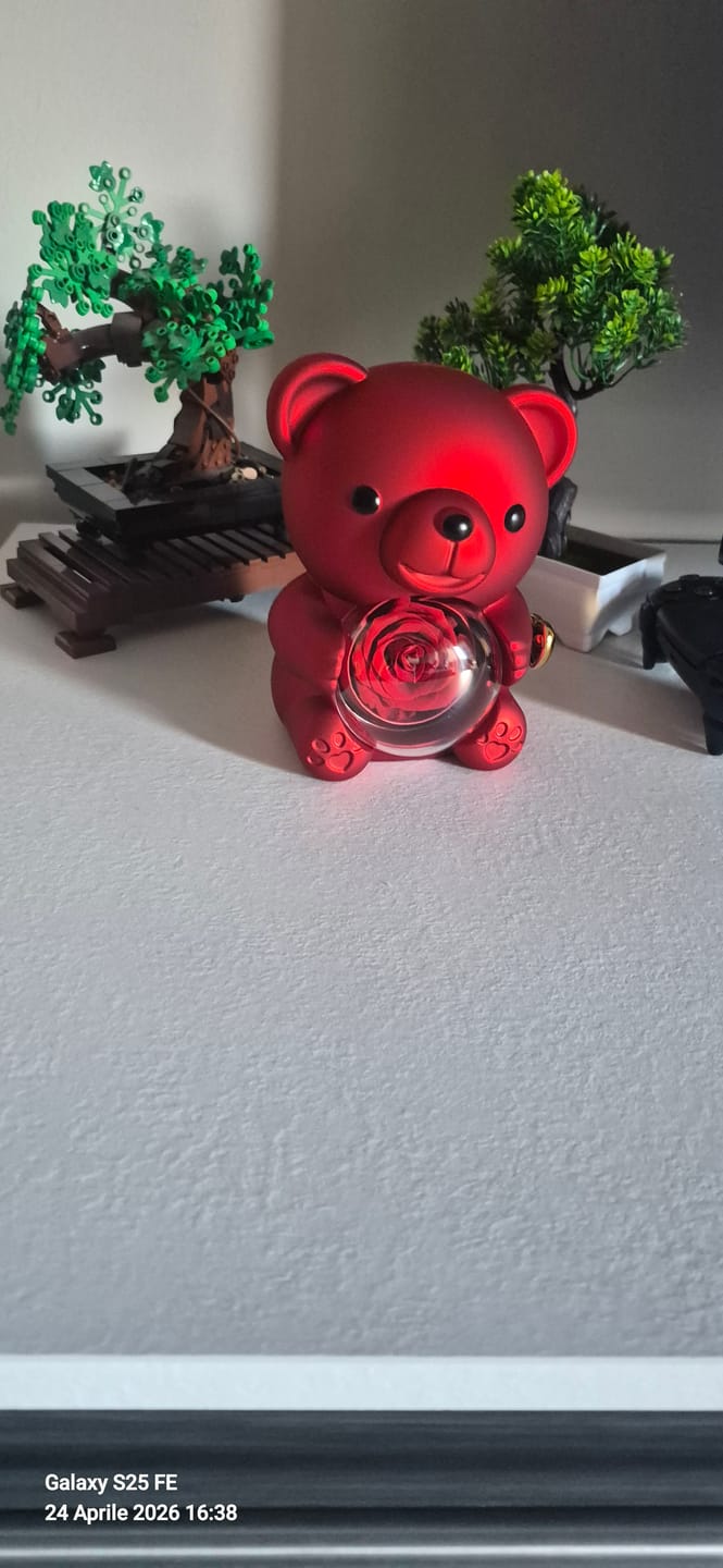 Customer photo review of Eternal Rose Bear & Personalized Necklace