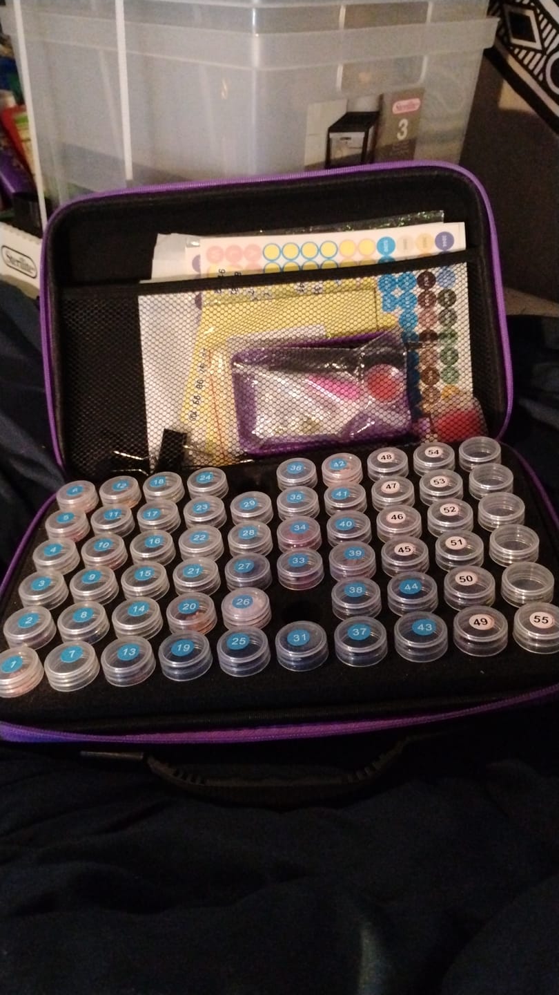 Customer photo review of Diamond Storage Travel Bag