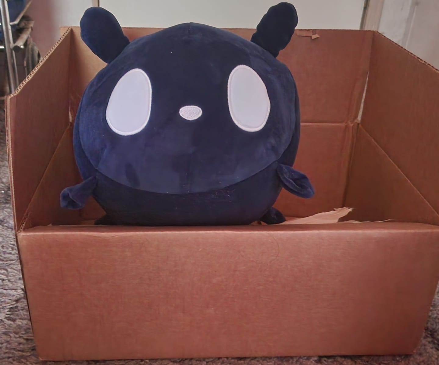 Customer photo review of Rain World - Watcher Slugcat Pillow Plush