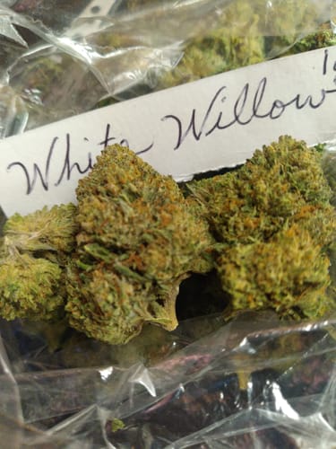Customer photo review of White Widow THCA Flower