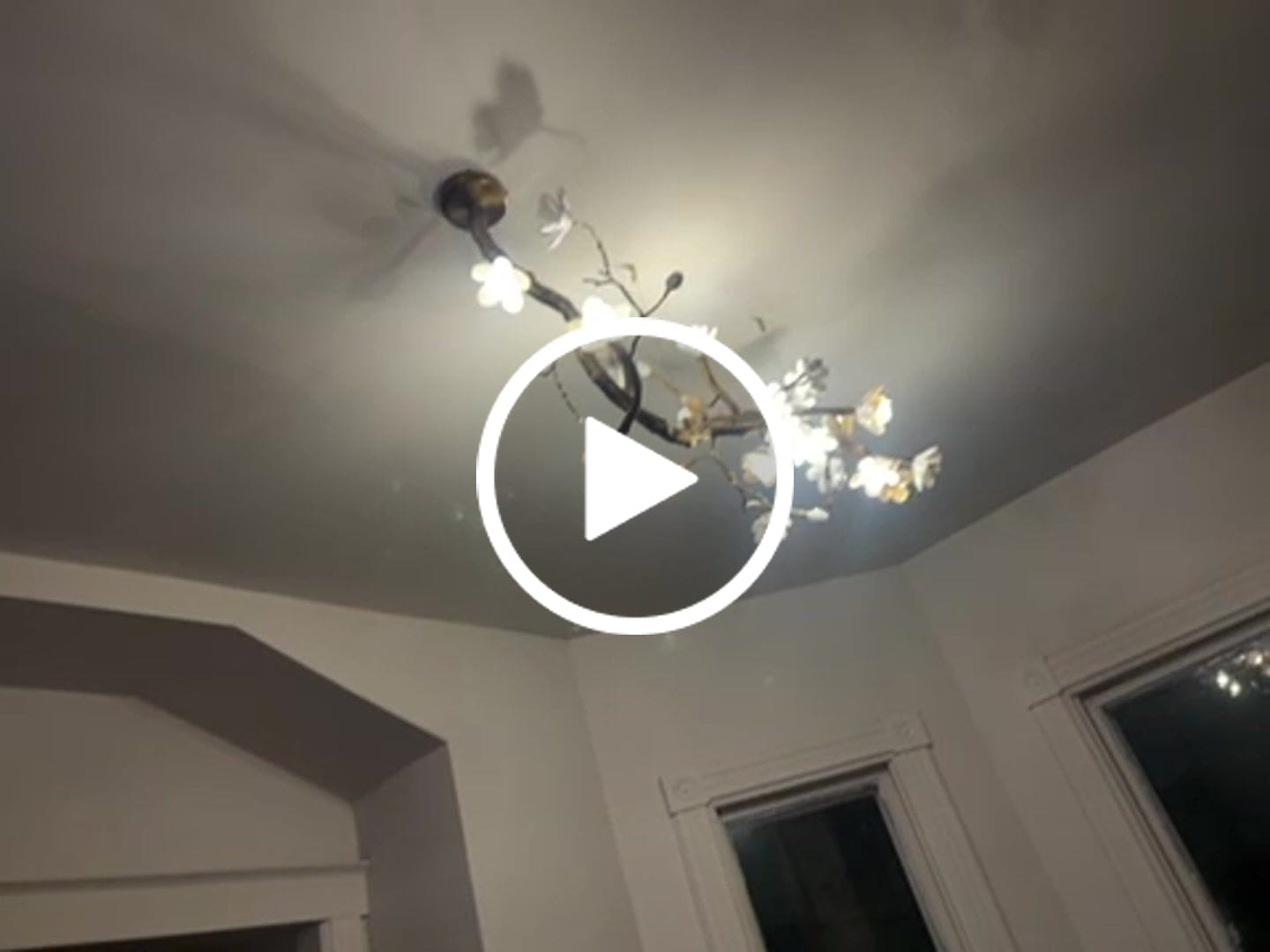 Customer video review of Minas Rustic Tree Branch Chandelier