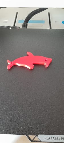 Customer photo review of Anycubic Kobra X