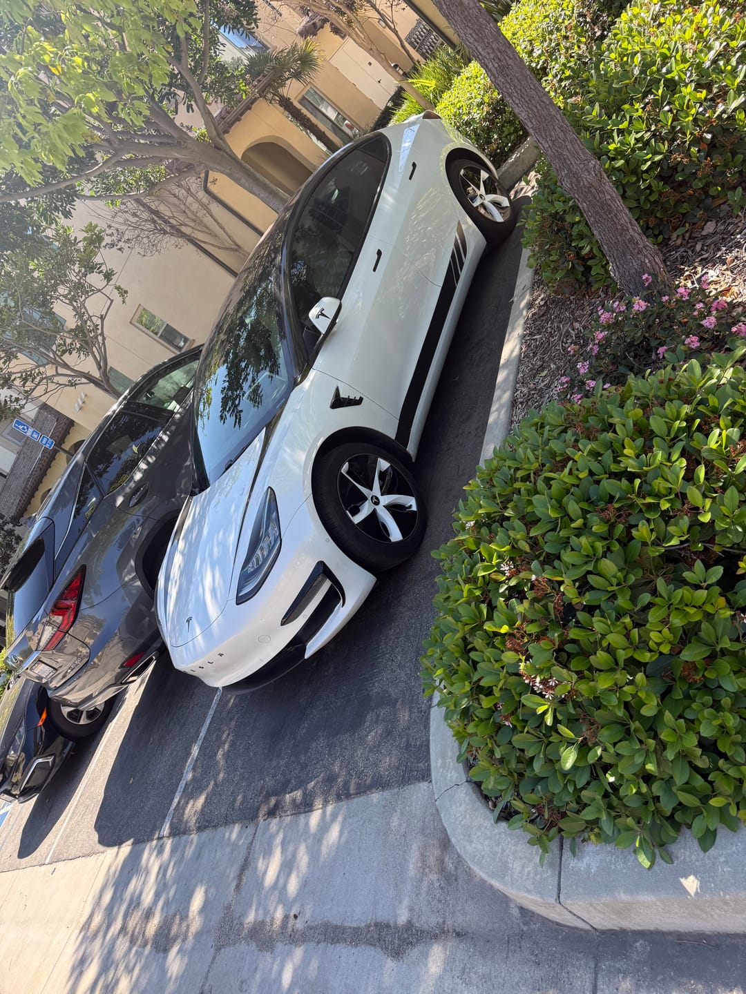Customer photo review of Model 3 18'' Aero Wheels Cover Hubcaps Replacement 4PCS for Tesla (2017-2023)