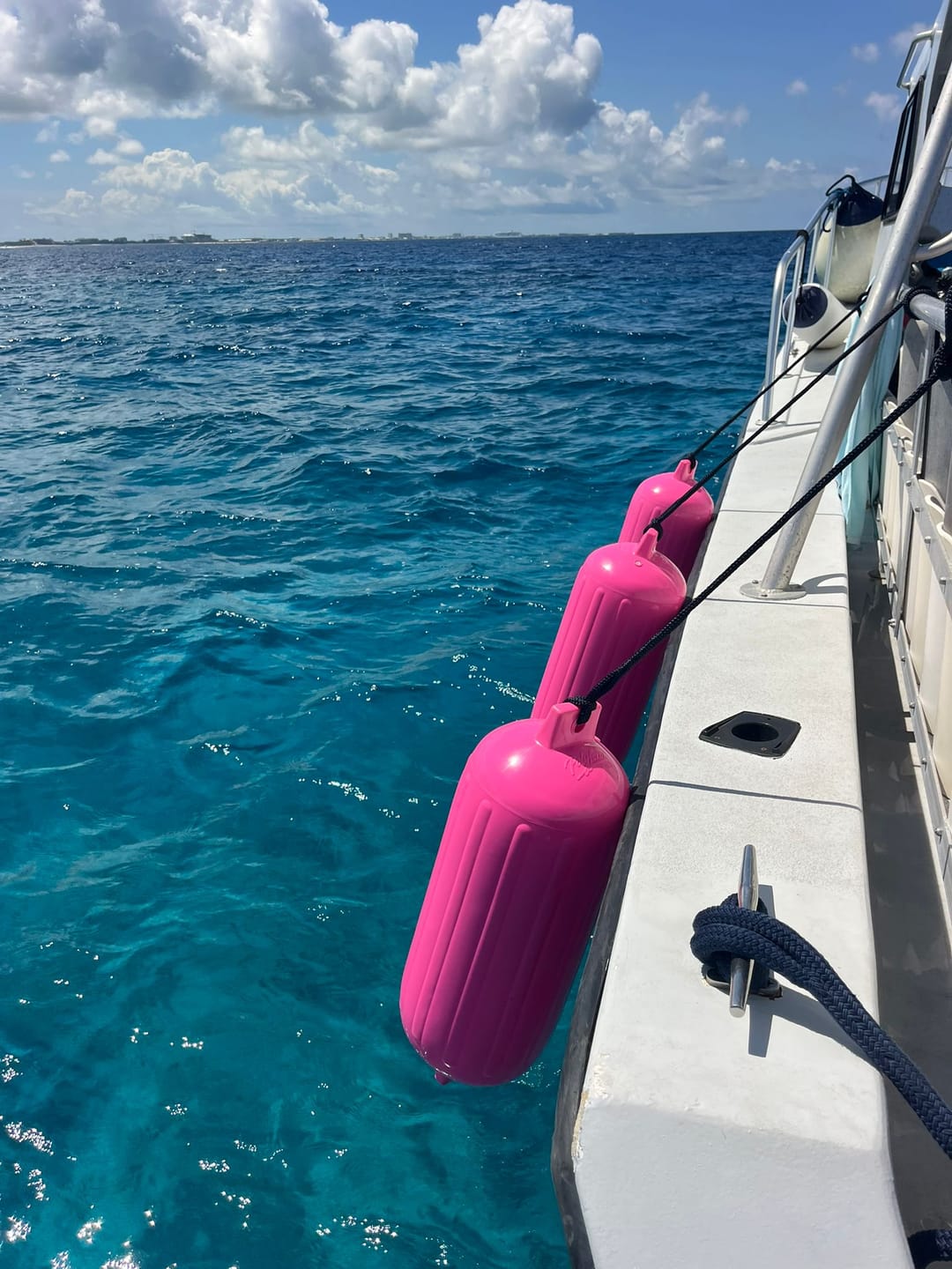 Customer photo review of G-Series Boat Fender G-6