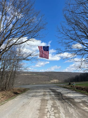 Customer's Betsy Ross Flag hanging between two bare trees over a rural road under a blue sky.