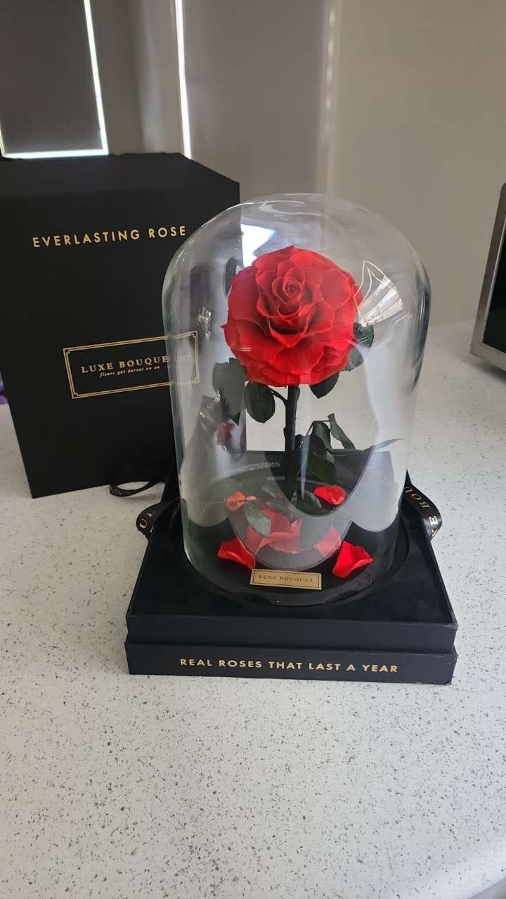 Customer photo review of The Everlasting Rose - Red